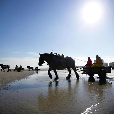 아파트 De Kwinte 201 With Beautiful Sea View 니우포르트